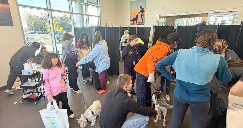 Cheyenne Animal Shelter Health Fair helps 274 pets with vaccinations, microchips