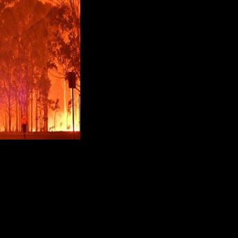 A firefighter walks past burning trees during a battle against bushfires around the town of Nowra in the Australian state of New South Wales on December 31, 2019