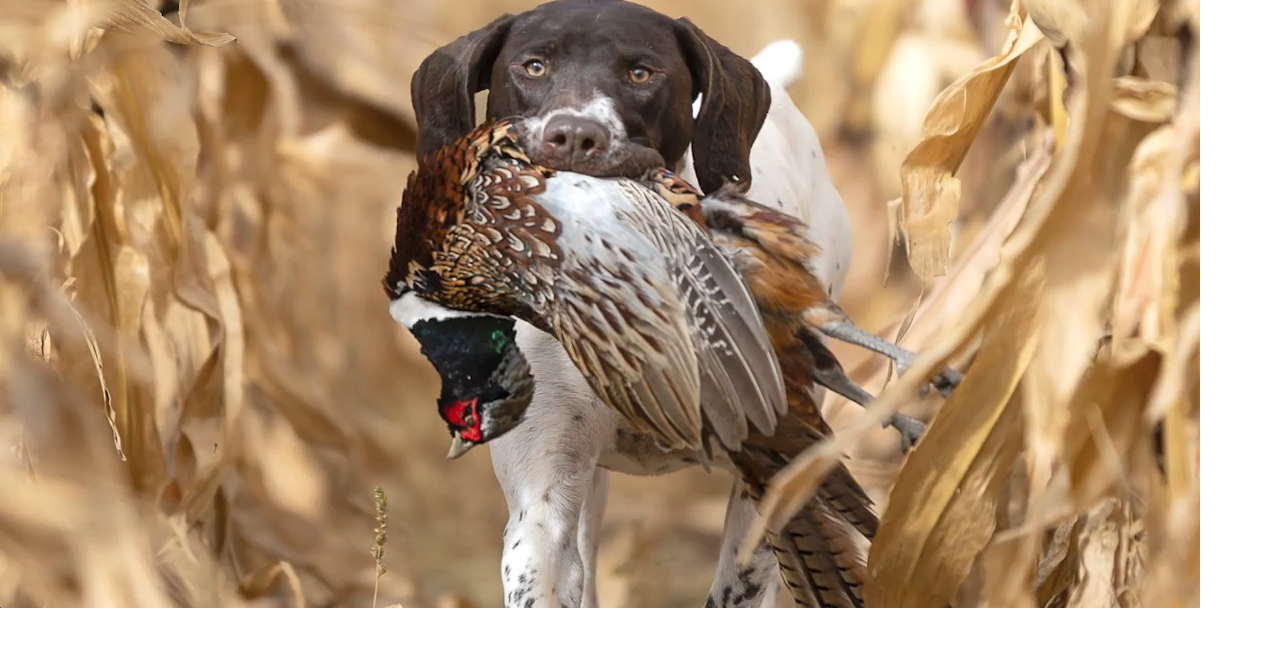 Game and Fish announces winners of annual Wyoming Wildlife magazine photo contest