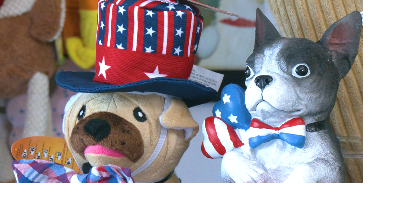 Cheyenne Veterinarians Help with Keeping “PAW‑triots” Calm During Fireworks