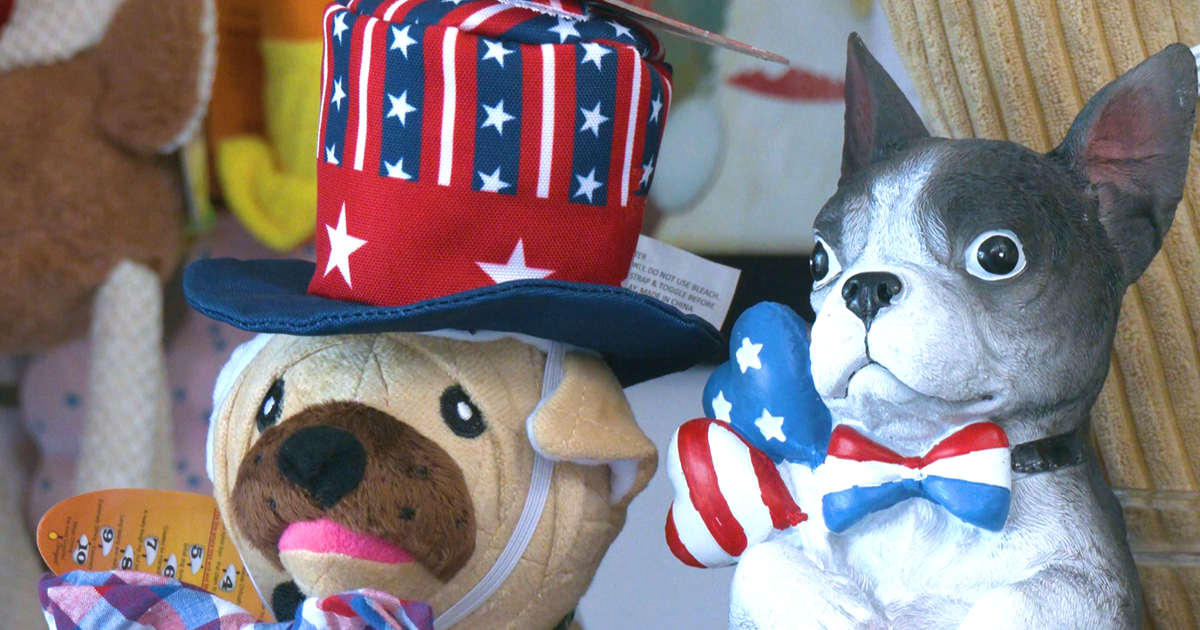 Cheyenne Veterinarians Help with Keeping “PAW‑triots” Calm During Fireworks