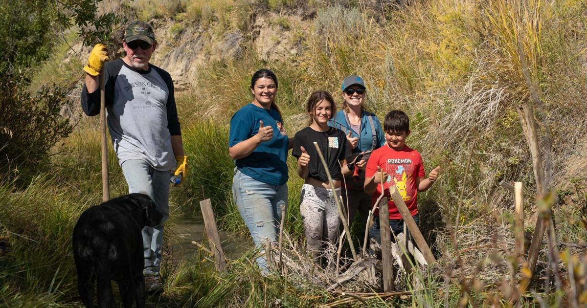 Conservationists build low-tech beaver dam analogs to revitalize Wyoming creeks