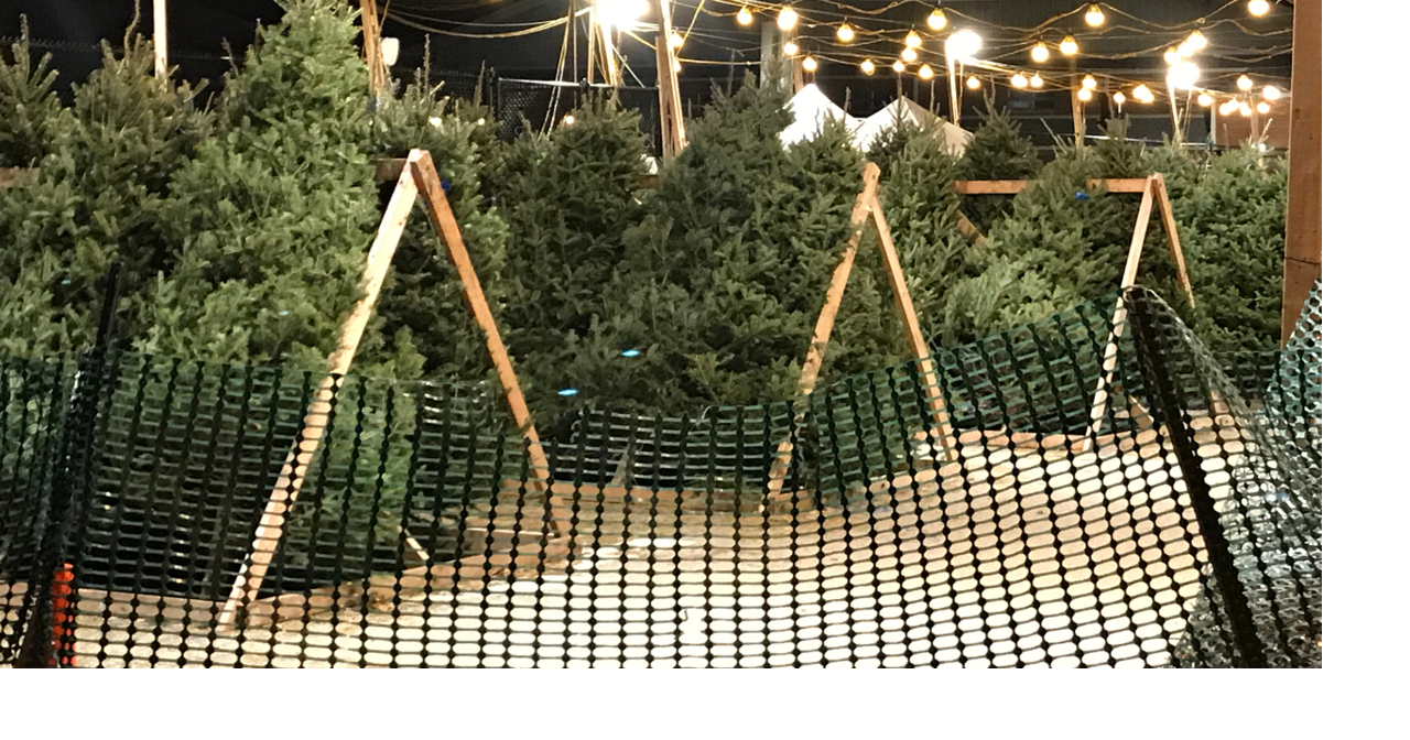 Cheyenne Firefighters Host Charity Christmas Tree Sale This Weekend