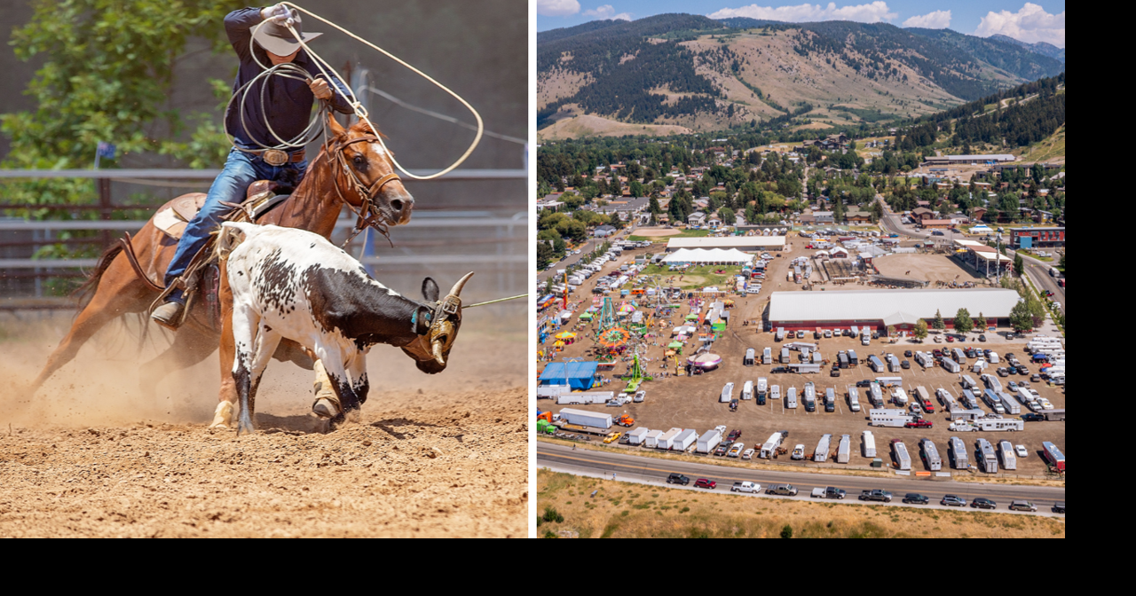 AROUND WYOMING: Birdwatching Sessions, Rodeo Cancellation and County Fair Anniversary!