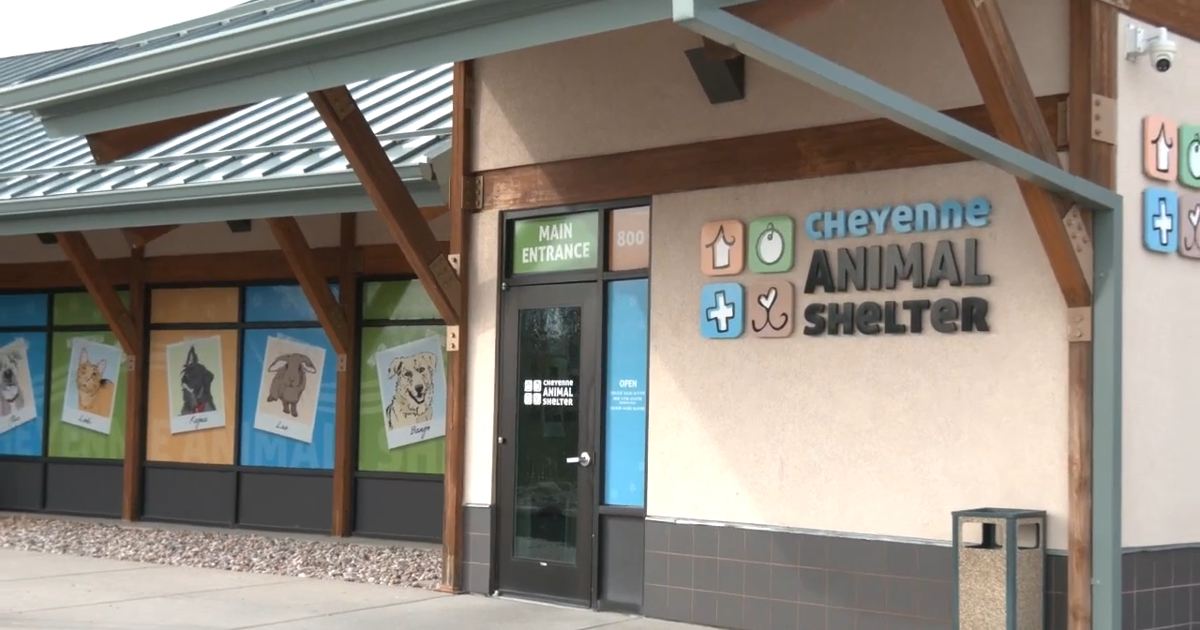 Dr. Elsey's to match donations to Cheyenne Animal Shelter until Oct. 31