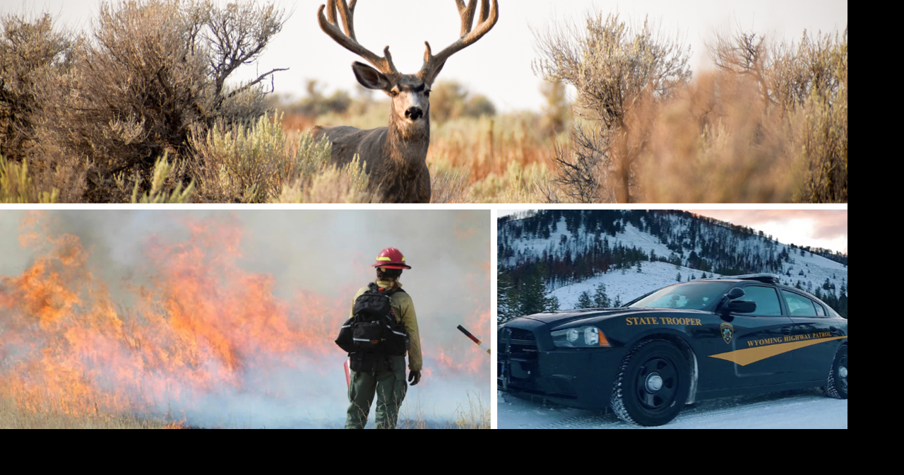 AROUND WYOMING: Fatal Crash, Mule Deer Investigation and Prescribed Burn!