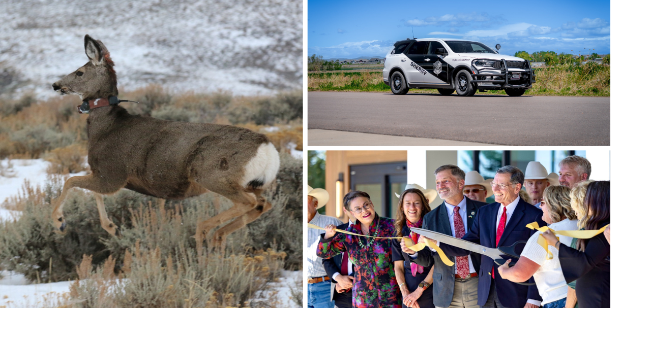 AROUND WYOMING: New Hospital, Wildlife Collars and Caboose Airbnb!