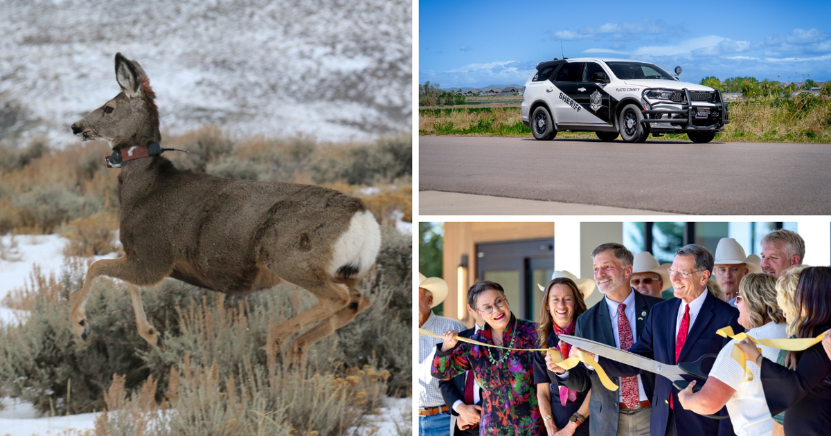 AROUND WYOMING: New Hospital, Wildlife Collars and Caboose Airbnb!
