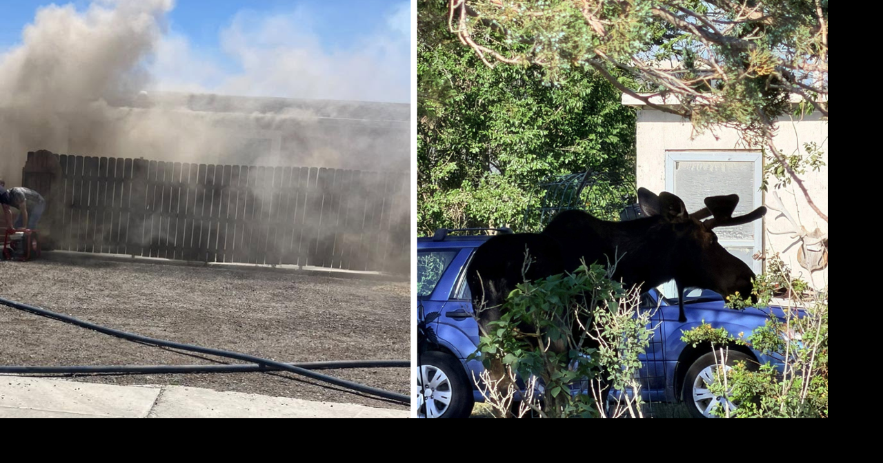 AROUND WYOMING: Juvenile Moose, Funnel Cloud and Boulder Creek Fire!
