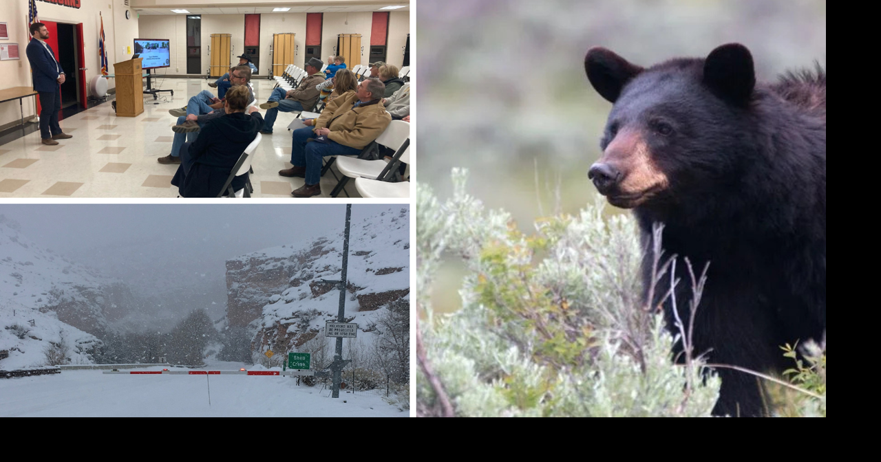 AROUND WYOMING: Car Crash, Highway Closure and Hunting Survey!