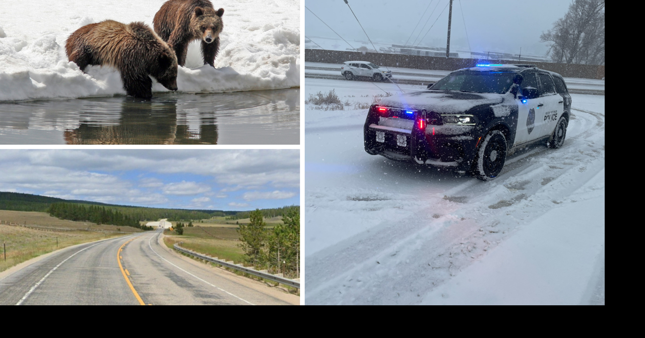 AROUND WYOMING: Deputy-Involved Shooting, Bear Safety and Traffic Delays!