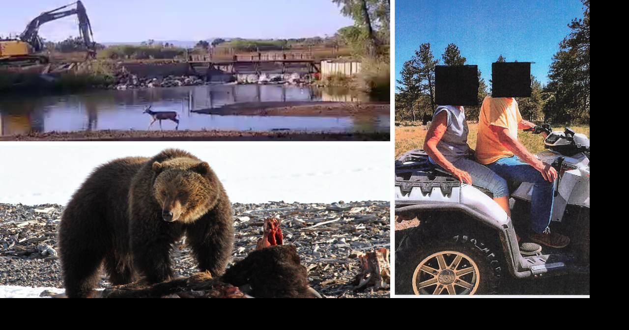 AROUND WYOMING: Kidnapping Attempt, Stolen ATV and Yellowstone Grizzly!