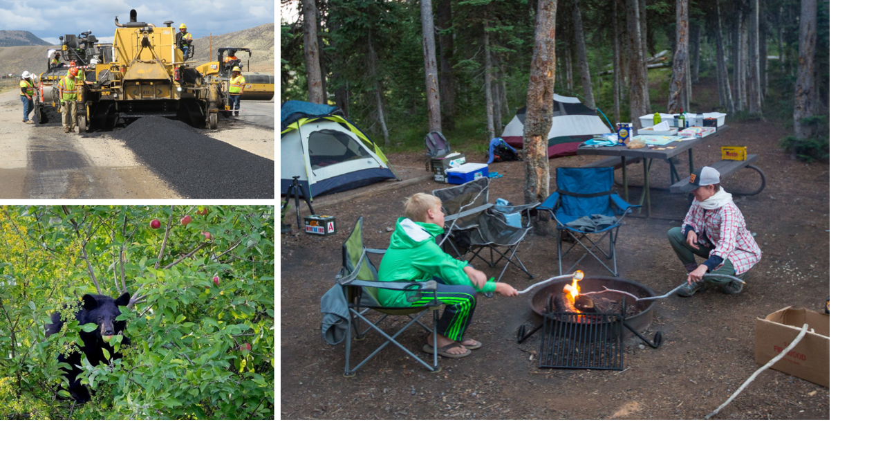 AROUND WYOMING: Bear Attack, Traffic Delays, and Wildfire Safety!