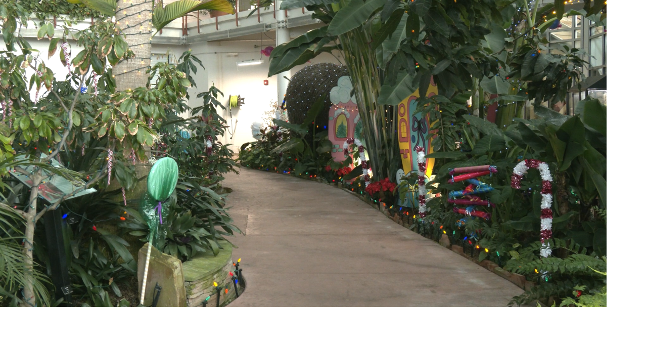 Cheyenne Botanic Gardens Conservatory of Lights shines with Whoville wonderland