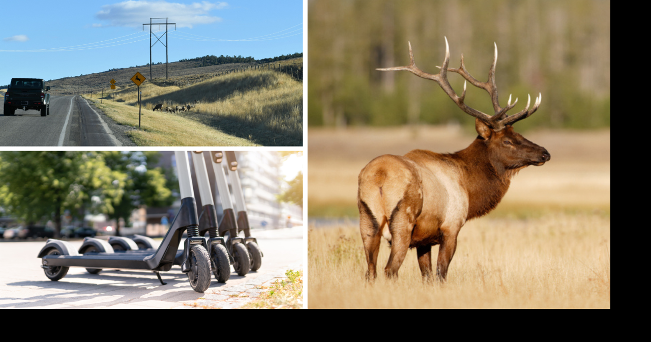 AROUND WYOMING: Fatal Crash, Mule Deer and Electric Scooters!