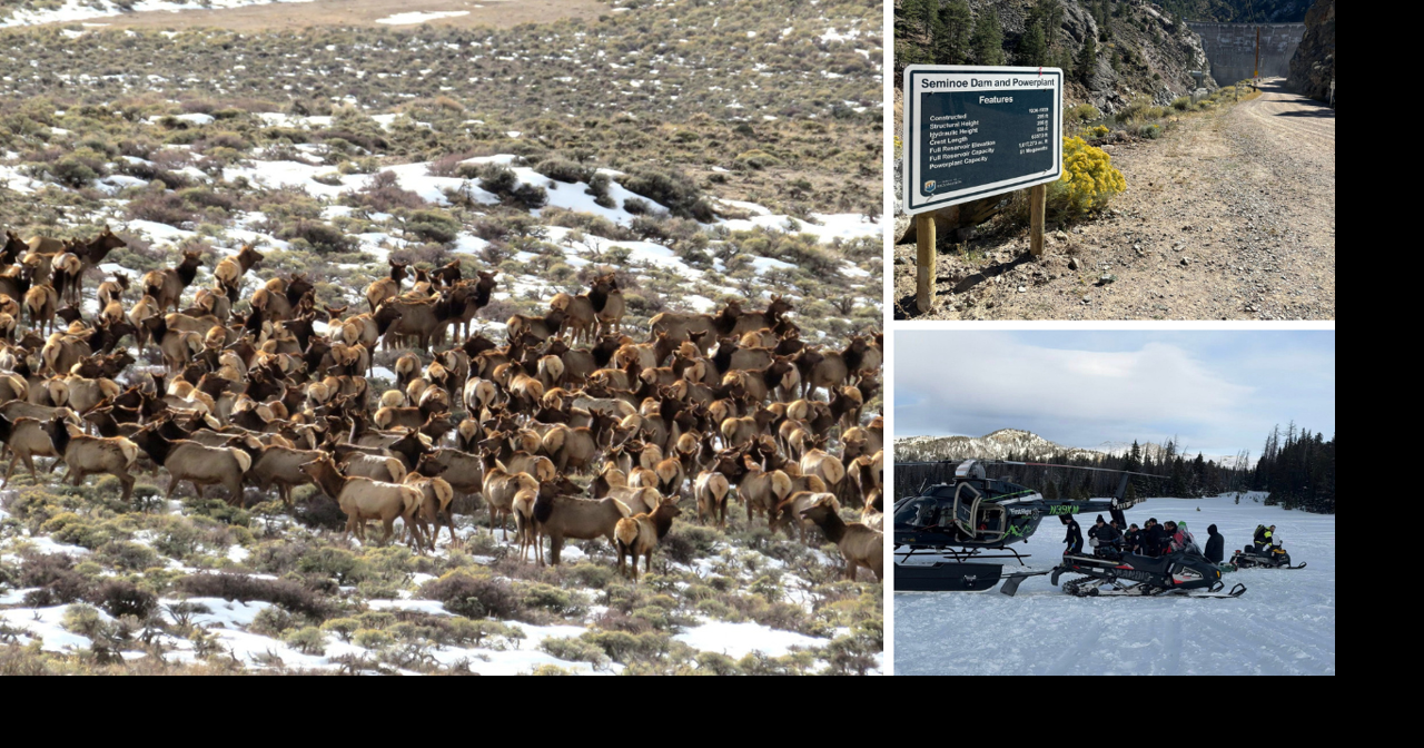 AROUND WYOMING: Snowmobile Accident, Winter Ranges and Project Updates!