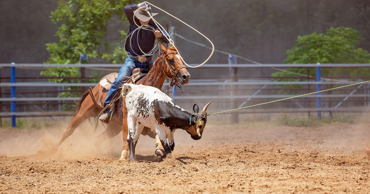 69th Annual Ropin' and Riggin' Days Rodeo set for this weekend in ...