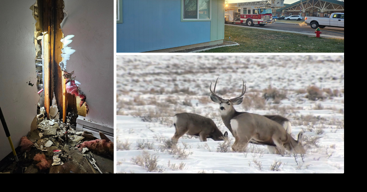 AROUND WYOMING: Chronic Wasting Disease, Worland Firefighters and School Zone!
