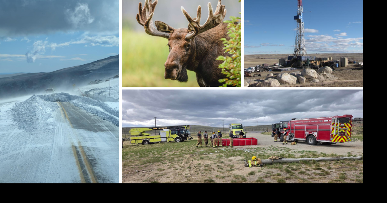 AROUND WYOMING: Bull Moose, House Fire and Oil and Gas Lease Sale!