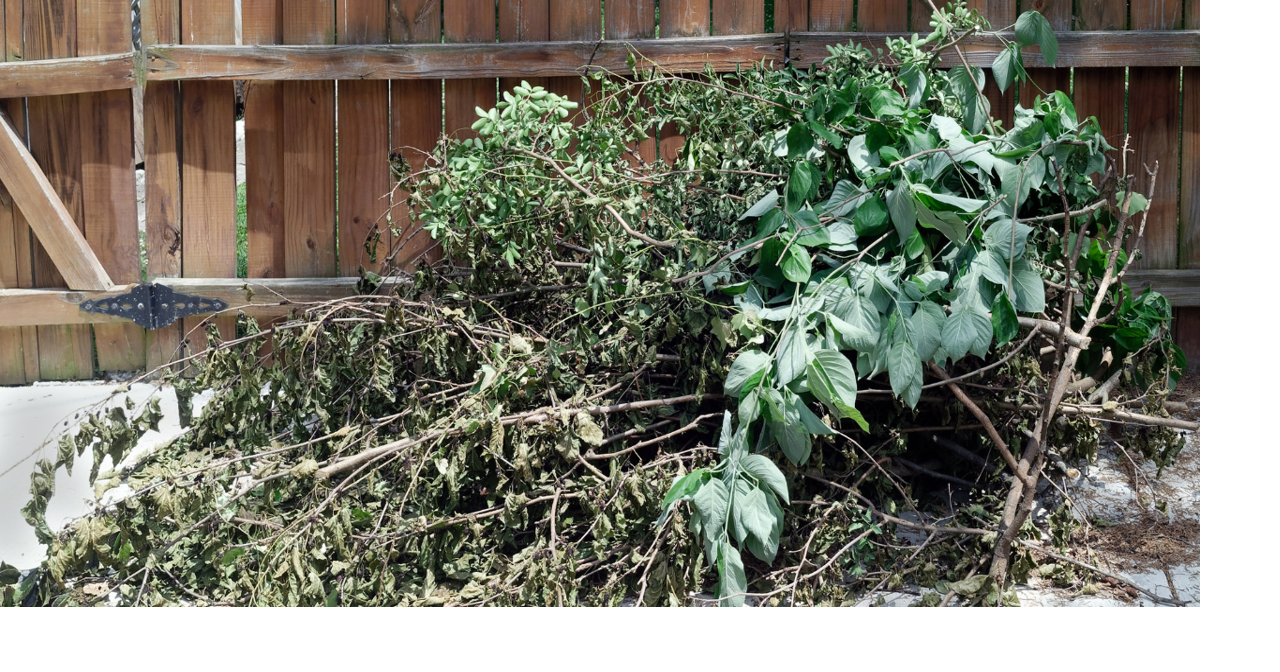 cheyenne-yard-waste-program-ends-week-of-nov-18-final-pickup-nov-21