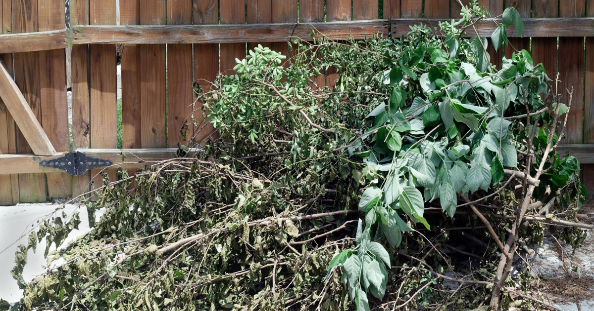 Cheyenne Yard Waste Program Ends Week Of Nov 18 Final Pickup Nov 21 cheyenne-yard-waste-program-ends-week-of-nov-18-final-pickup-nov-21