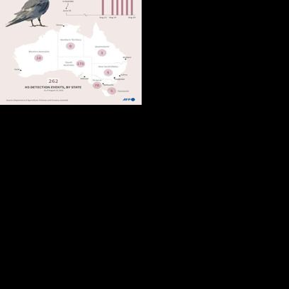 H5N1 bird flu was detected in Australia in June 2026
