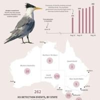 H5N1 bird flu was detected in Australia in June 2026