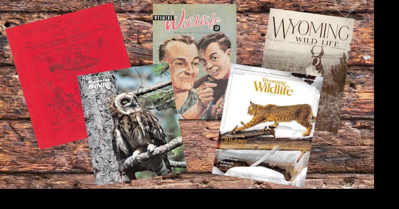 Wyoming Wildlife magazine celebrates 90-year anniversary with updated look