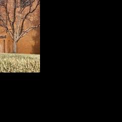 Candidate filing for Cheyenne Municipal Election opens Thursday