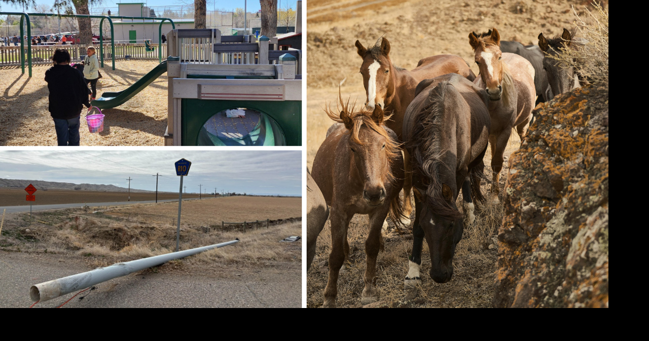 AROUND WYOMING: Wild Horse Management Plans, Golgotha 2026 and Egg Hunt!