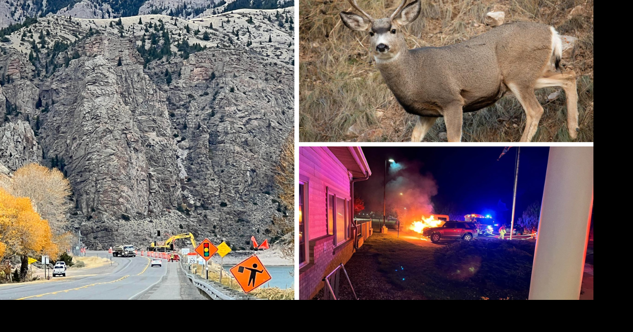 AROUND WYOMING: Wildlife Crimes, Chronic Wasting Disease and SUV Fire!