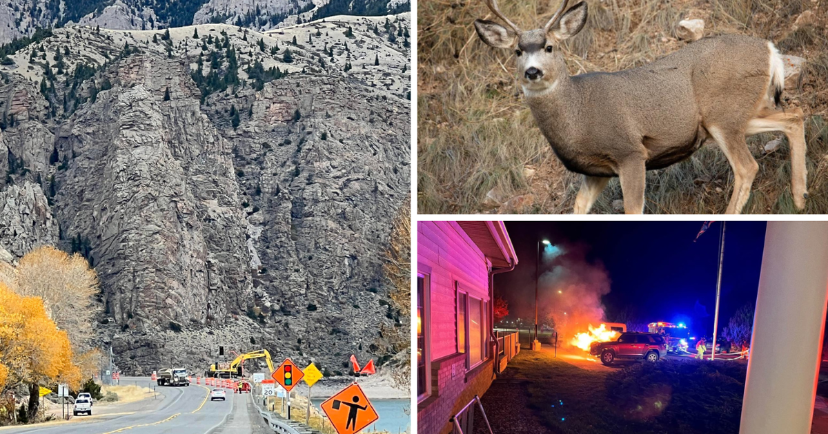 AROUND WYOMING: Wildlife Crimes, Chronic Wasting Disease and SUV Fire!