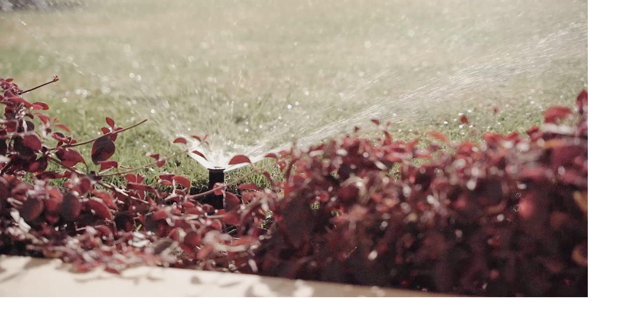 Why Cheyenne's watering rules matter more than ever in 2026