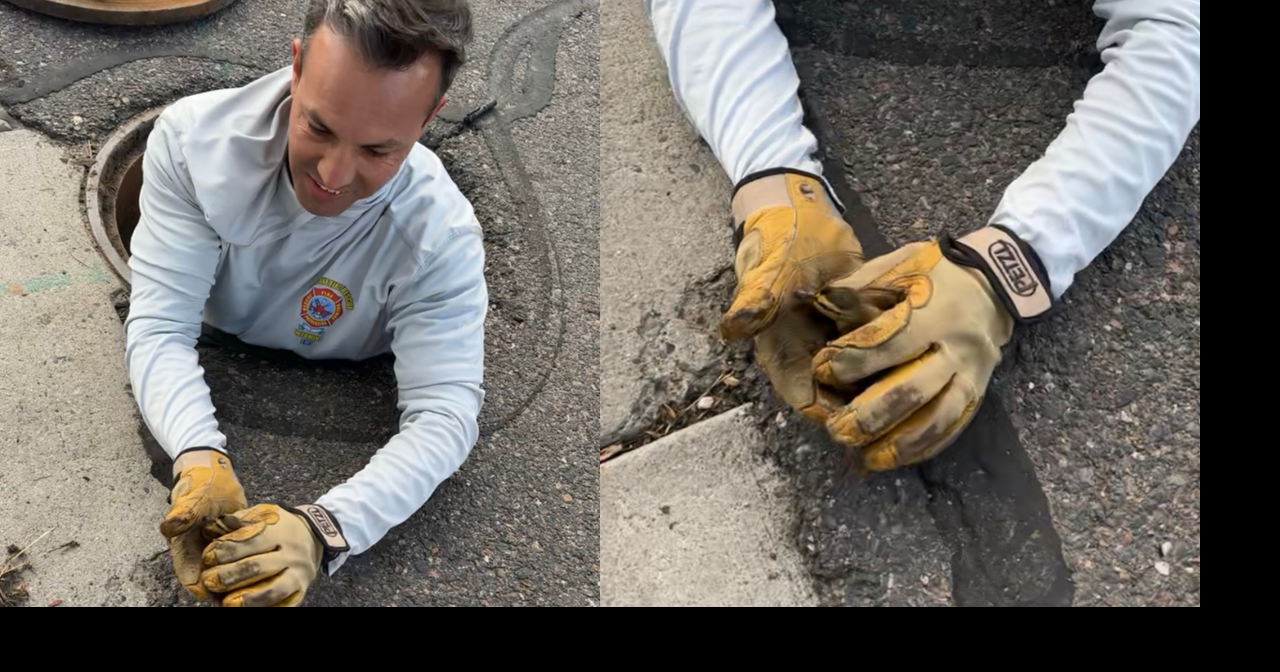 Firefighters in Cheyenne rescue duckling from storm drain