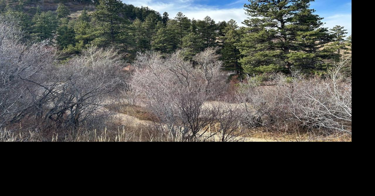 Public lands rule faces repeal effort by Wyoming senators despite public support