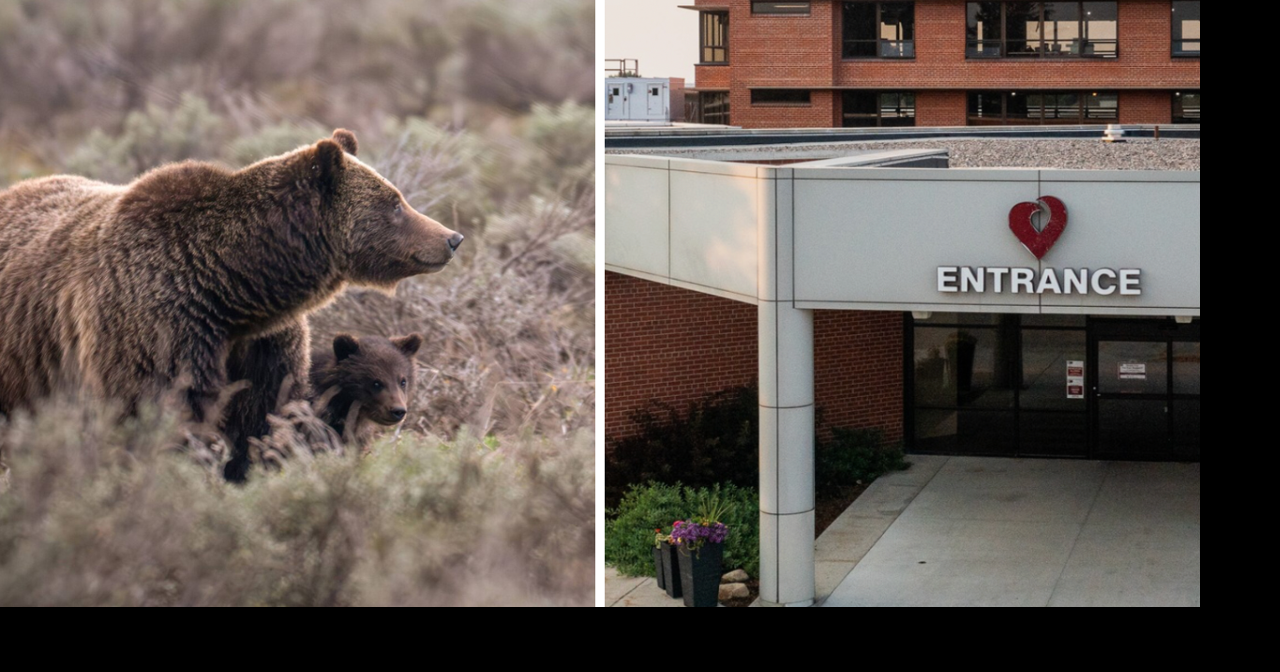 AROUND WYOMING: Charter School, MRI Technology and Grizzly 399!