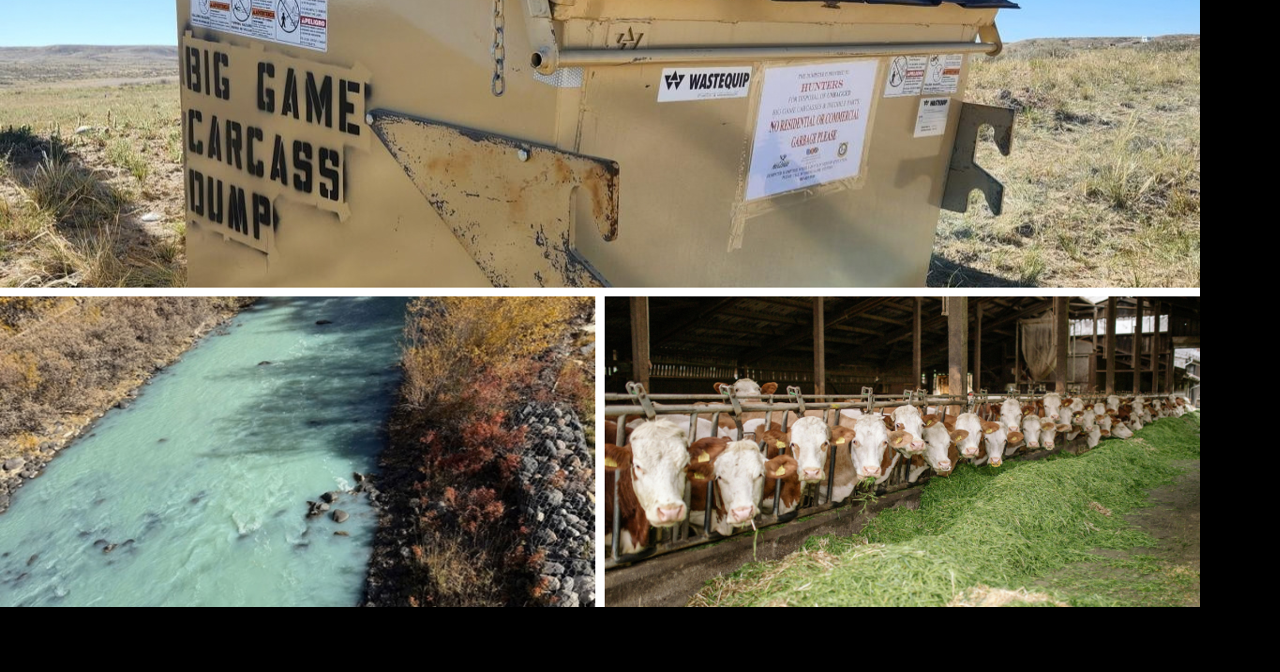 AROUND WYOMING: Turquoise Water, Hunting Dumpster and Livestock Permits!