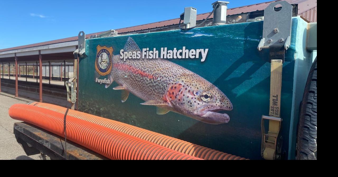 Wyoming moves to produce more of its own fish with Speas expansion